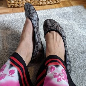 Charlotte Russe Snakeprint Flats